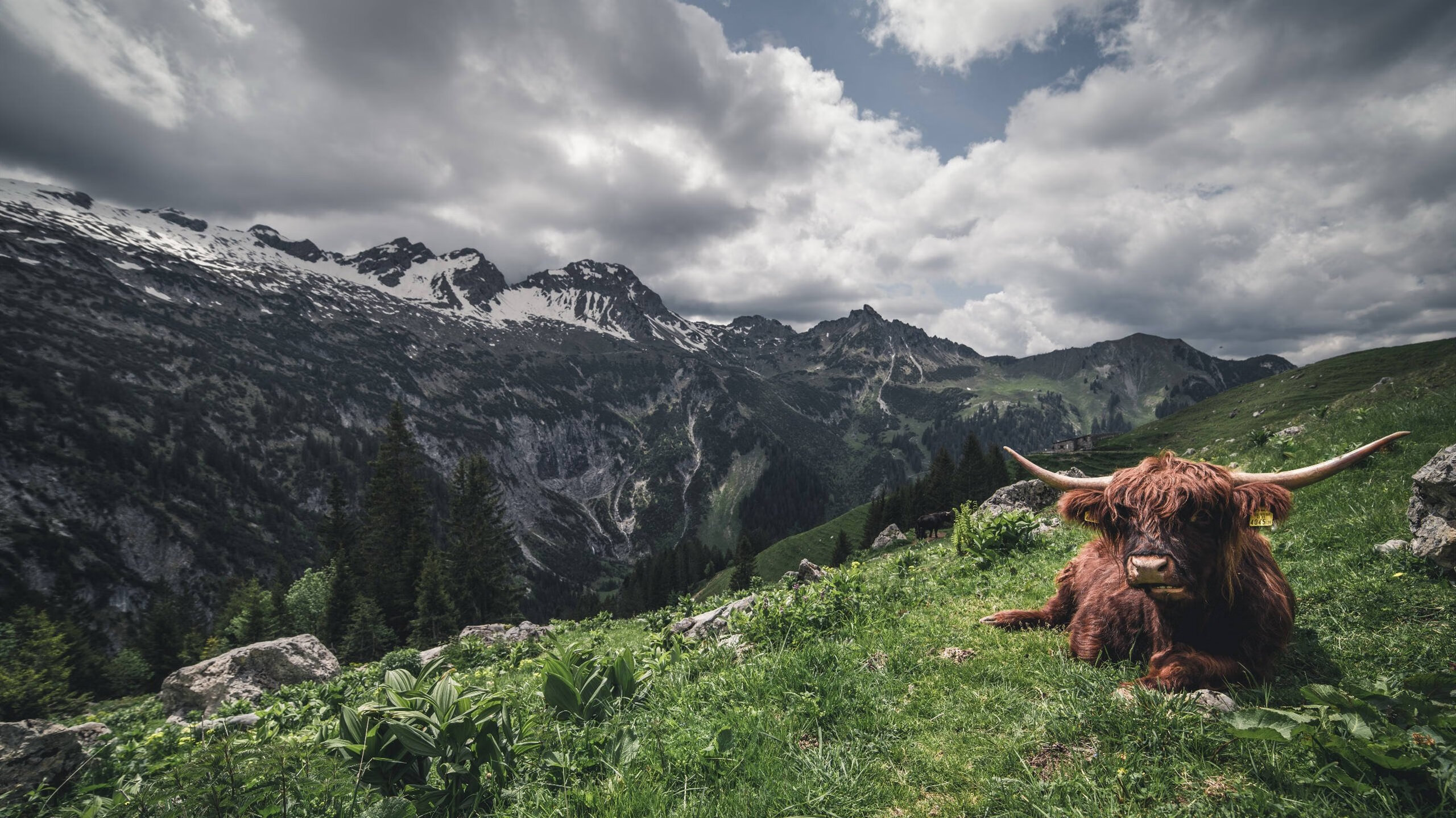 AYX SPORTS-“青训教练员资格认证体系全面升级，竞技水平再提升”，职业梯队青训教练招聘