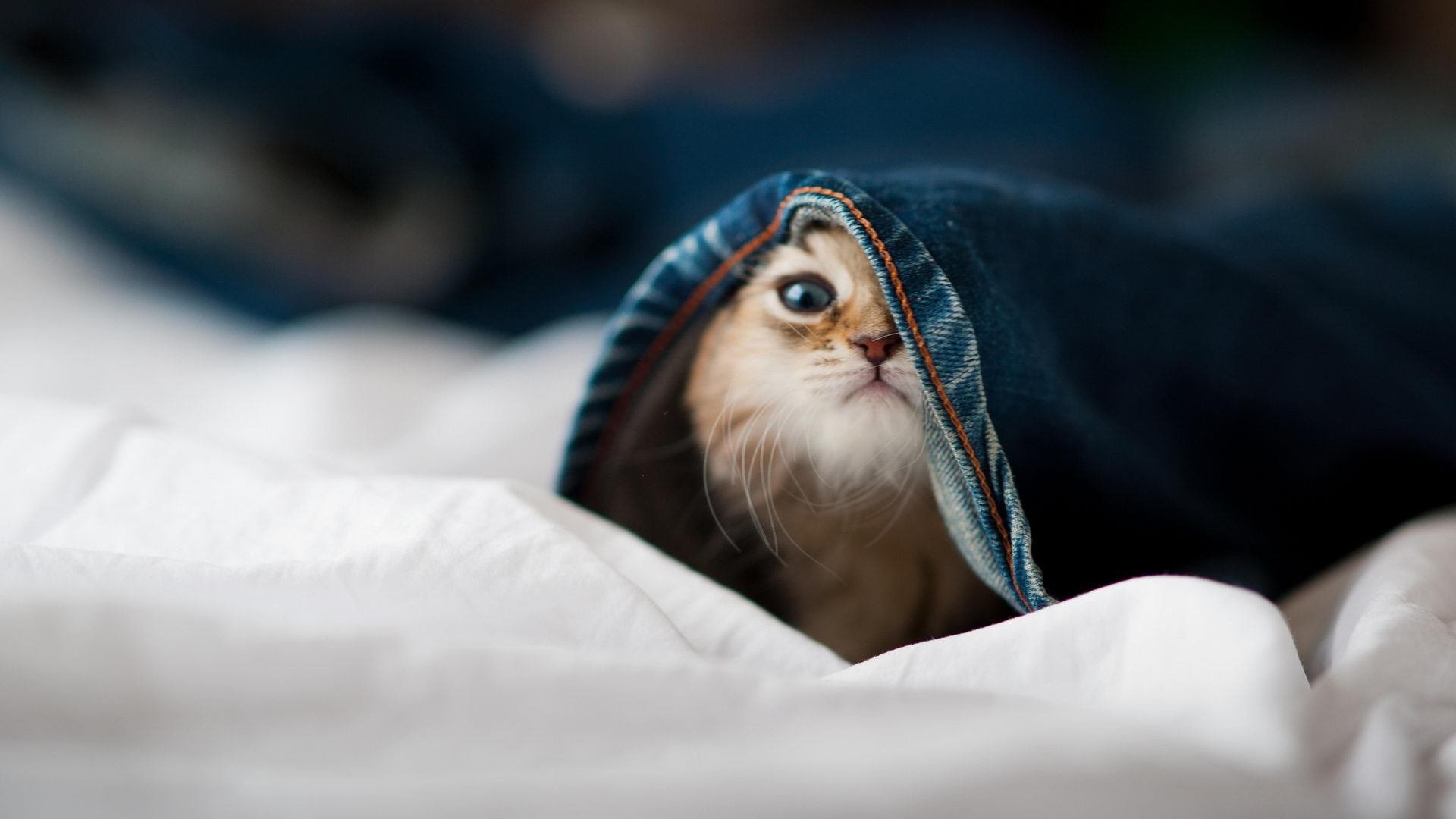 爱游戏体育官方网站-日本乒乓球选手早田希娜:力争突破中国队封锁,争夺金牌。,早田希娜t联赛底板