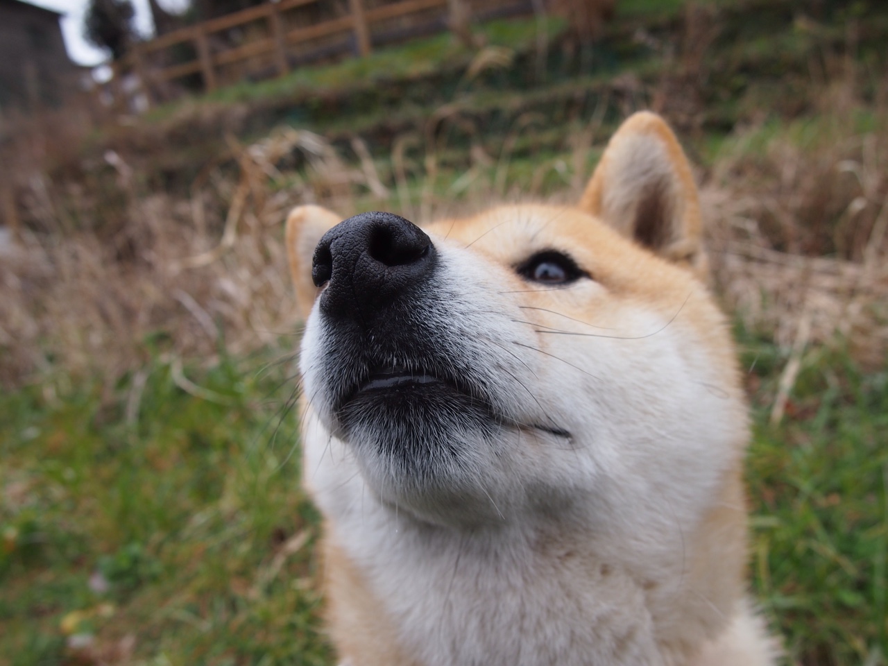 爱游戏app-赛季尾声：谁能抢到宝贵的季后赛入场券？，进入季后赛规则