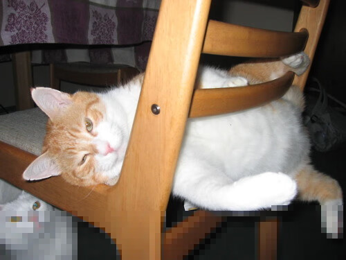 爱游戏体育（AYX）官方APP下载-国际比赛又一次证明了实力，强队稳固排名榜首，国际比赛是什么