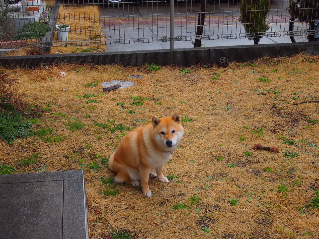 详细阅读:爱游戏体育(AYX)官方APP下载-国际足坛中国力量崭露头角 成绩靓丽引全球瞩目,国际足球运动员名单 爱游戏体育(AYX)官方APP下载-国际足坛中国力量崭露头角 成绩靓丽引全球瞩目,国际足球运动员名单