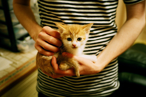 详细阅读:爱游戏体育(AYX)官方APP下载-拉明·亚马尔成为欧洲杯历史最年轻出场球员,欧洲杯最老的球员 爱游戏体育(AYX)官方APP下载-拉明·亚马尔成为欧洲杯历史最年轻出场球员,欧洲杯最老的球员