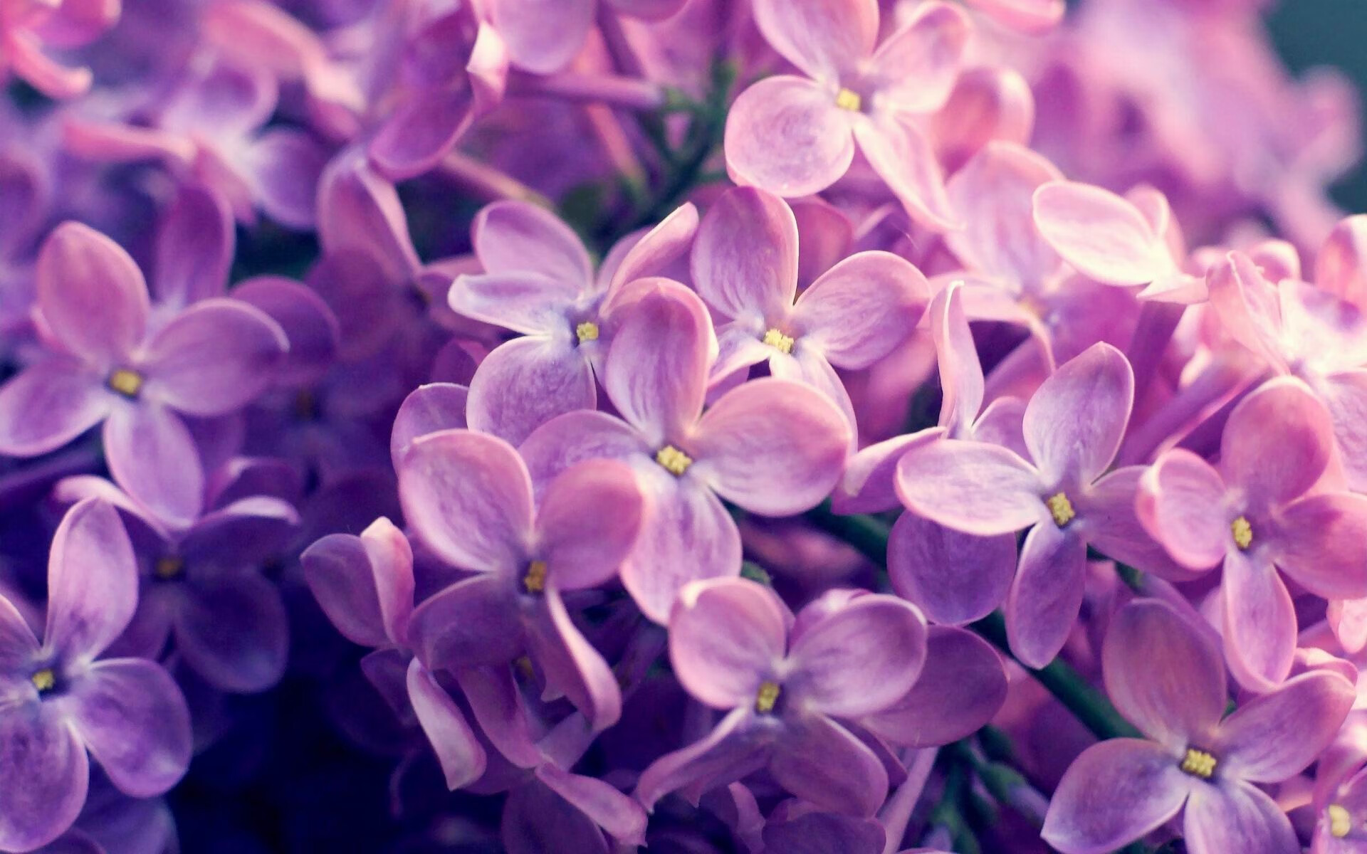 爱游戏娱乐平台-焦点奥运转播权新协议达成影响深远,奥运转播权归谁