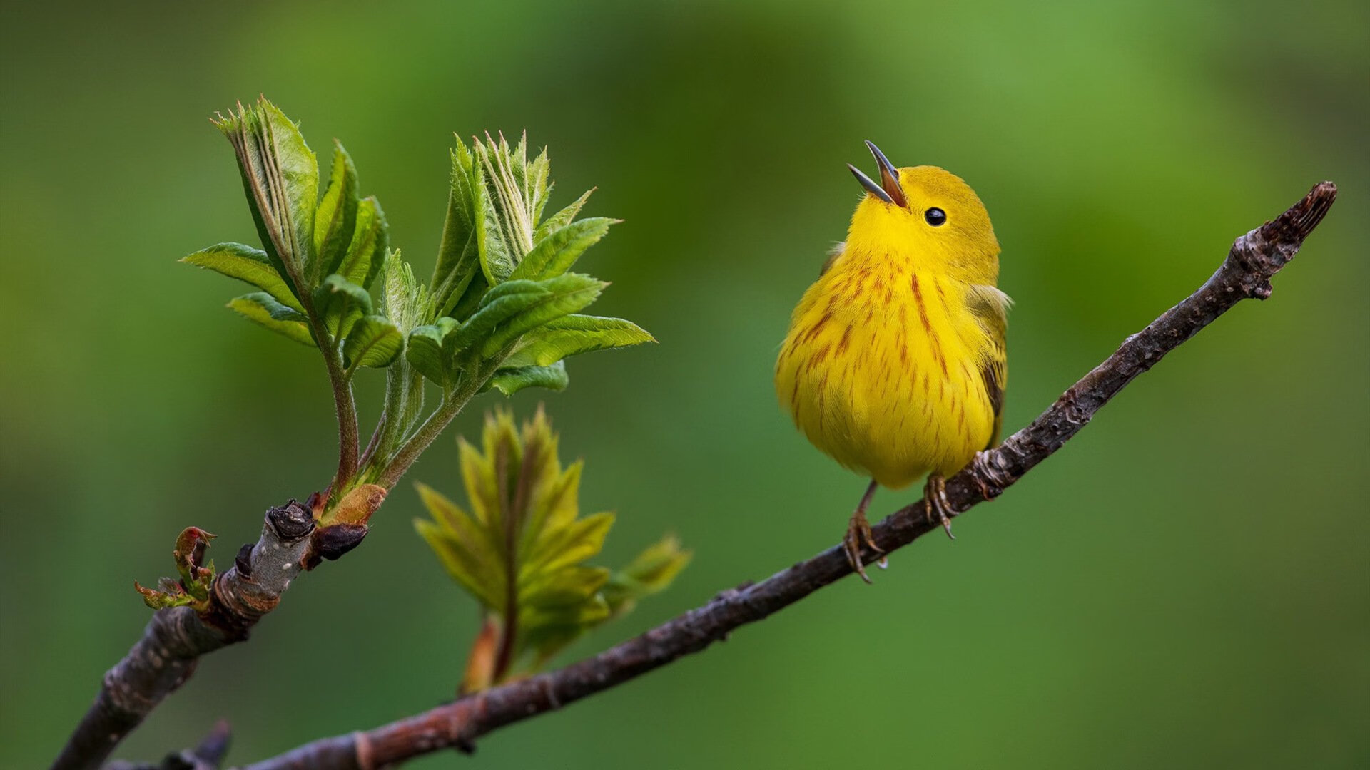 爱游戏中国官方网站平台-中小学体育游戏教学法应用现状与优化策略研究,中小学体育游戏的特点