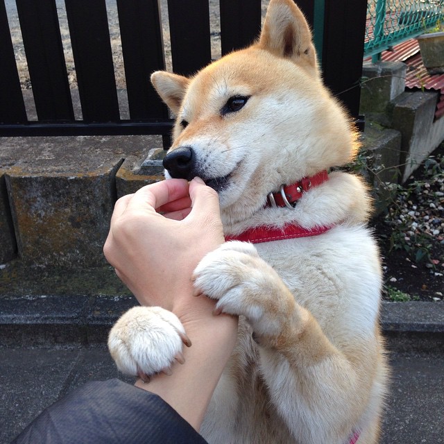 爱游戏app下载-CBA联赛全局统筹能力是否落后发展节奏，cba全场有几个暂停