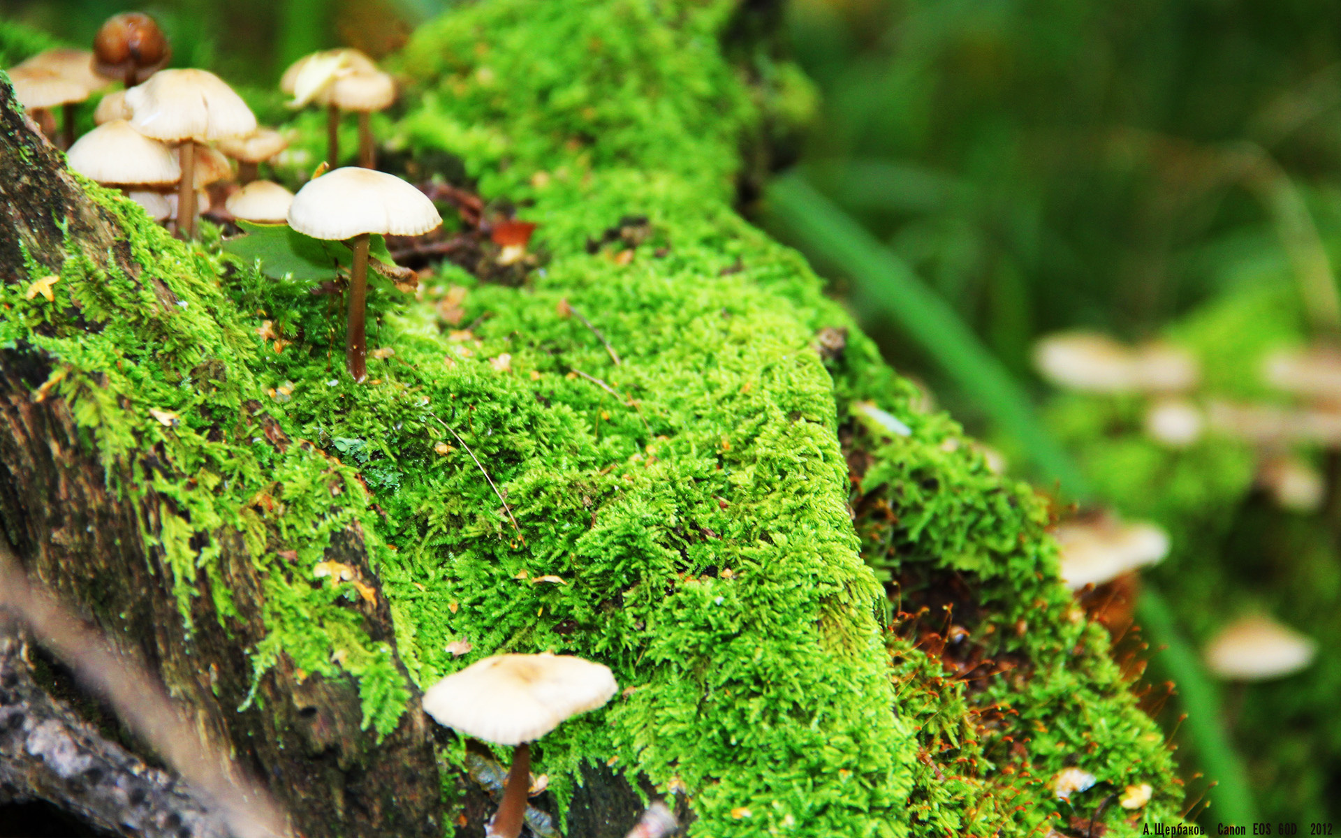 爱游戏登录入口-中国女篮不断提升篮下防守硬度，中国女篮战术