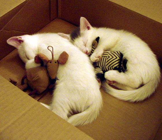 爱游戏娱乐-伤病高发位置是否与技术对抗强度相关,伤病治疗过程简述