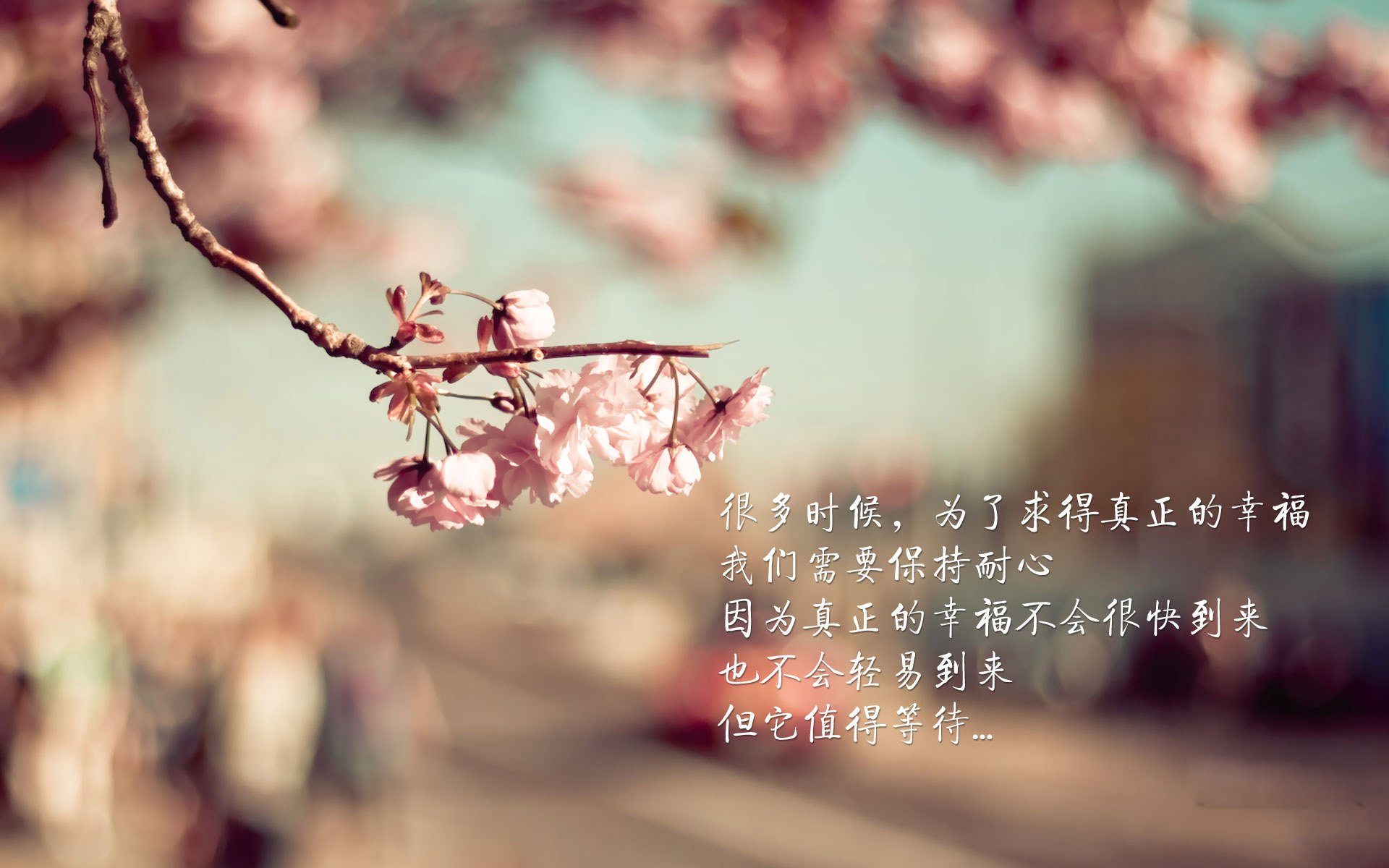 爱游戏平台-国家队技战术执行缺少后勤联动保障