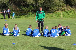 爱游戏-澳大利亚队如何通过团队赛制战术，在大赛中脱颖而出，澳大利亚队伍