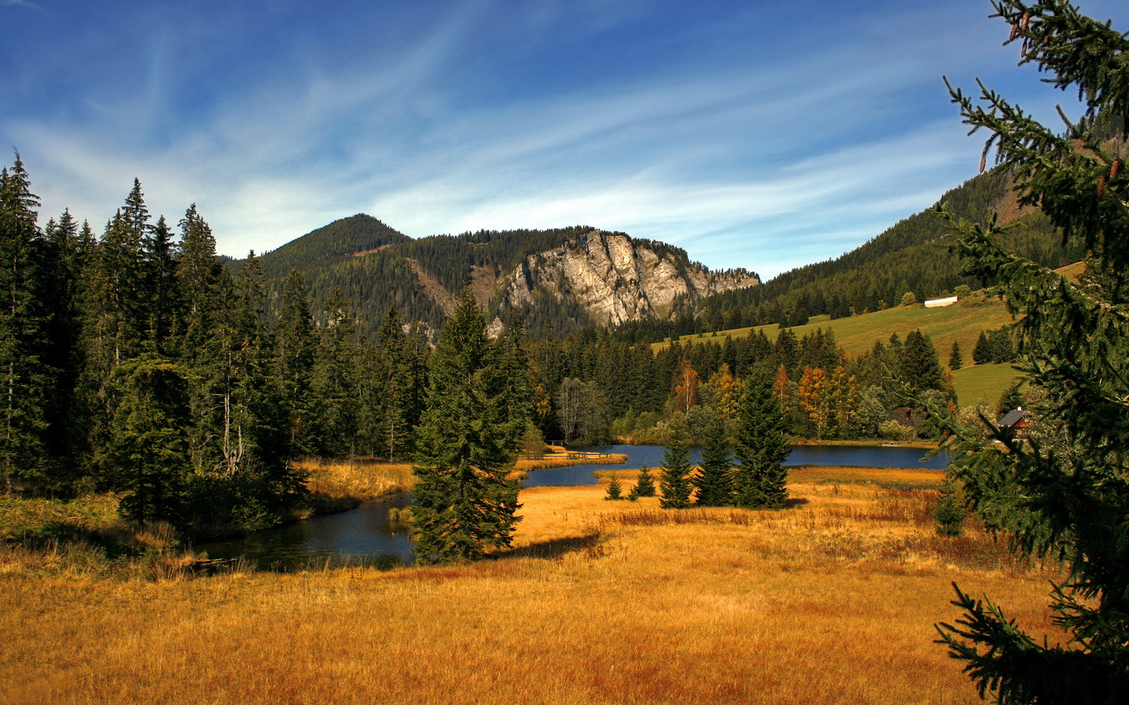 爱游戏登录入口-利物浦欧冠逐步逼近，冲击顶级荣誉