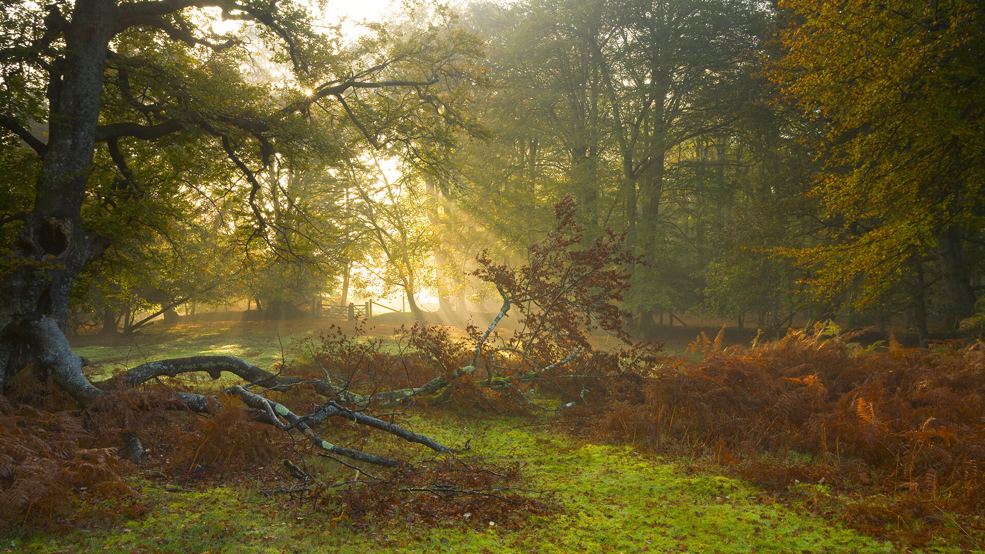 爱游戏电竞官网-詹姆斯再破三双纪录创联盟历史神话，詹姆斯面对30支球队拿过三双