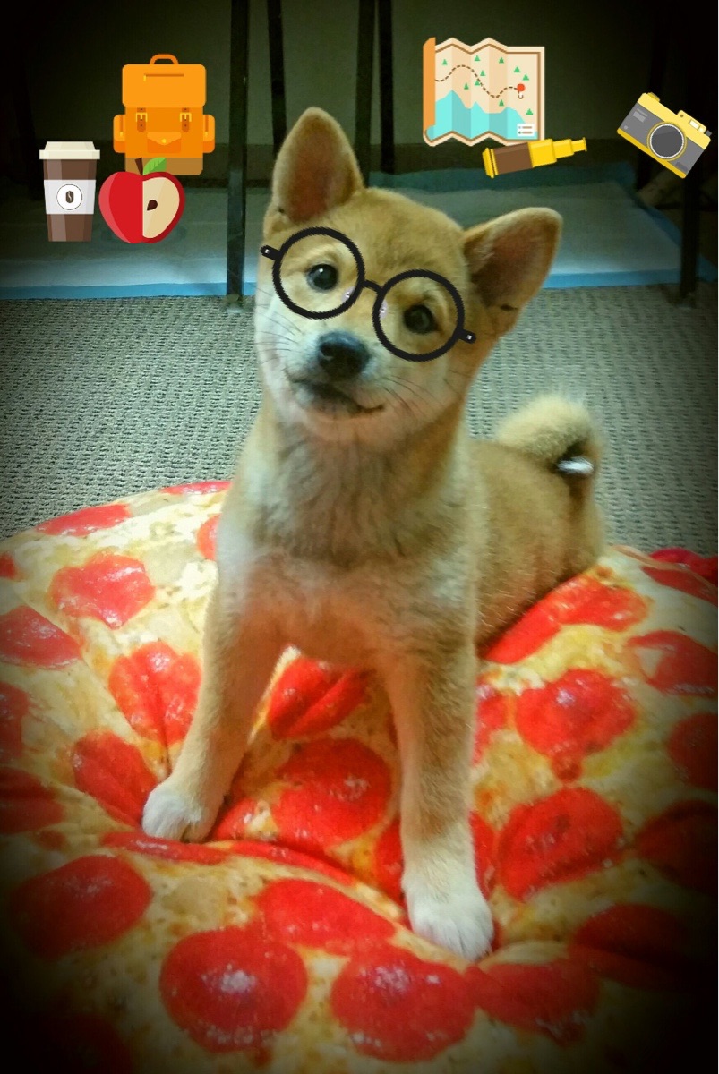 雷霆后卫更新伤情表示恢复良好无需担心，雷霆队后卫